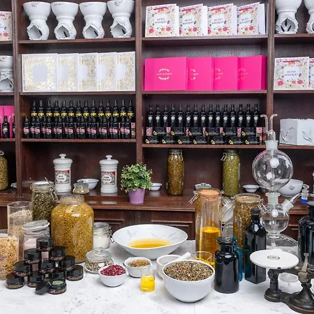 酒店 麦西利城堡酒店 Mcely