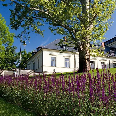 Chateau Mcely