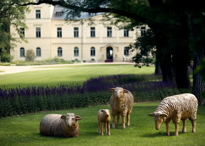 فندق Chateau Mcely