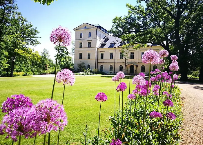 فندق Chateau Mcely